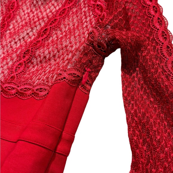 Free People Body Con Lace Mesh Fully Lined Dress - Picture 5 of 5